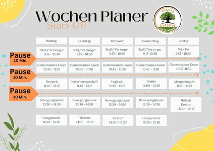 Ein Wochenplan, der in Tabellenform anzeigt, welche Aktivitäten in der Woche von Montag bis Freitag anstehen.